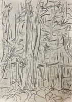 tree, fence, and forest