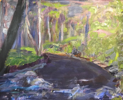 Hop Brook Made in the Shade