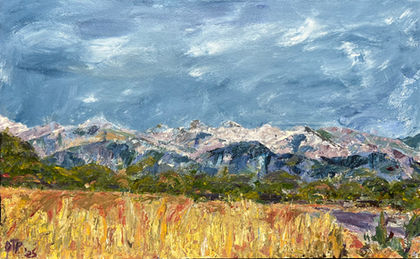 Sangre de Cristo Vista 1