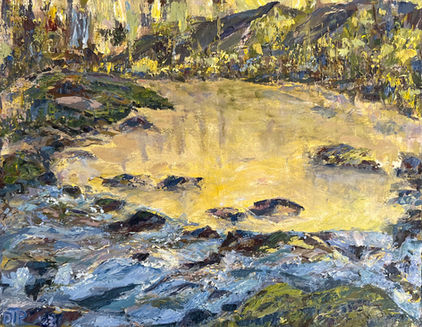 Hop Brook Spring Trifecta C