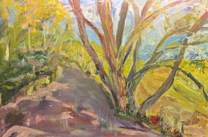 The Cottonwood Trail