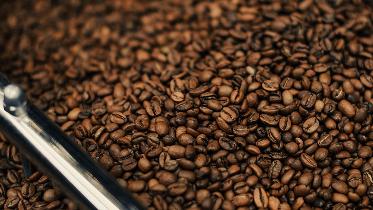 Freshly roasted coffee beans