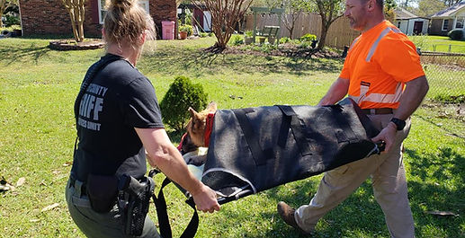 41970898_708531292839979_802833208148859