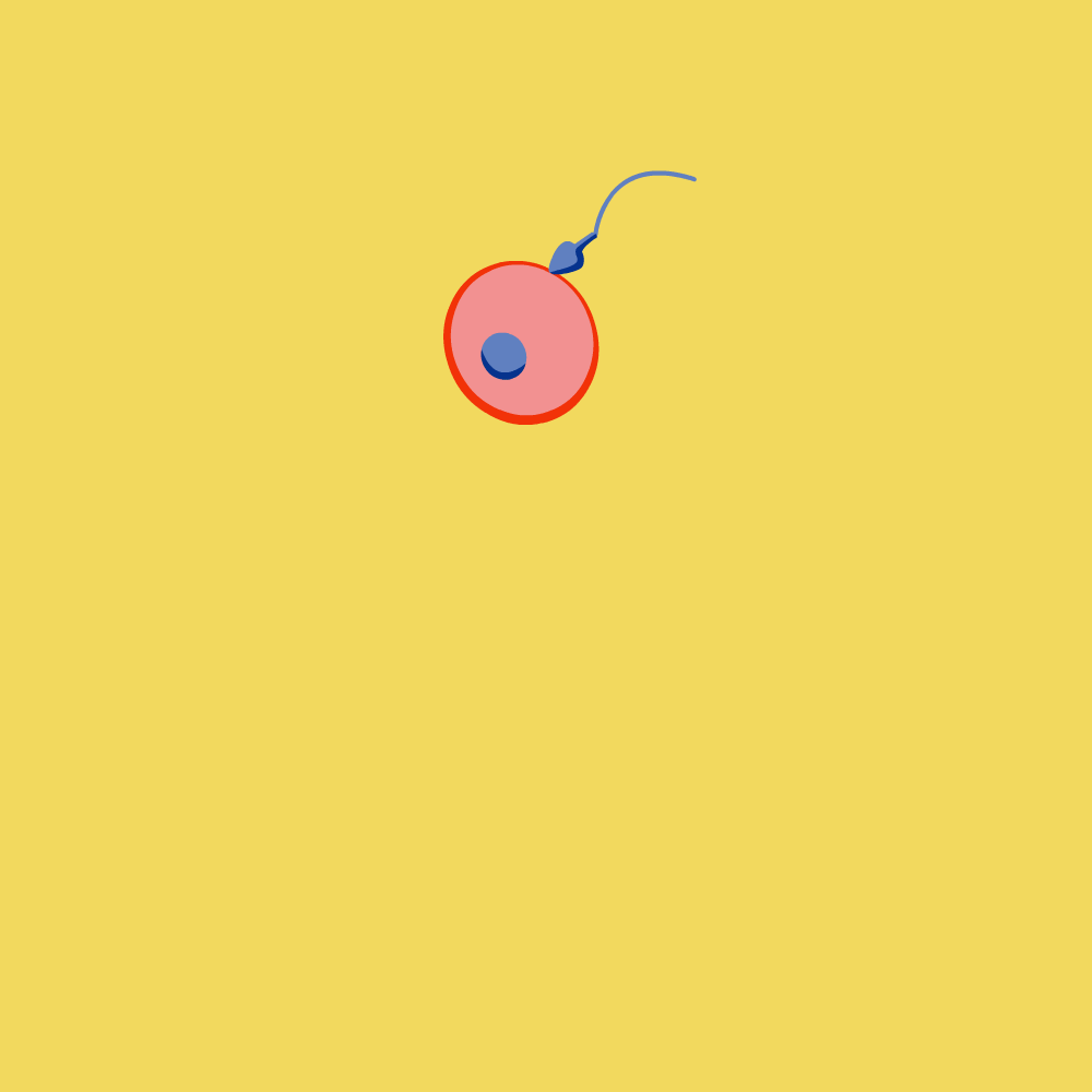 Sokratis_Papageorgiou_Task_02.gif