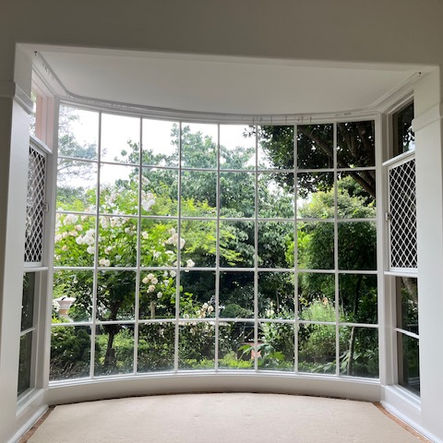 Window frame repaint