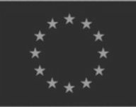 EU_logotype_edited_edited.jpg