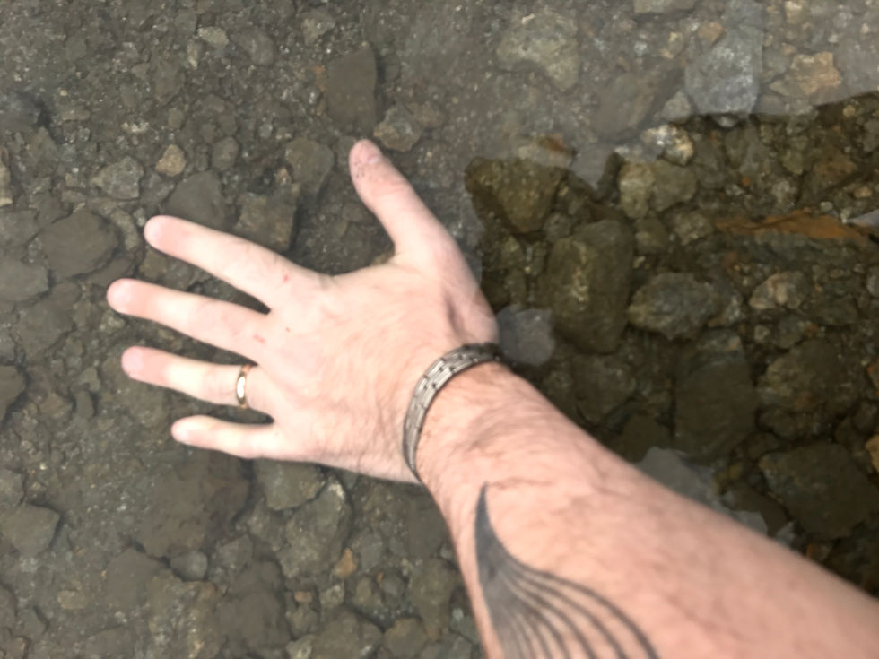 ree