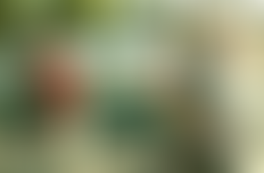 Datos curiosos de Foster The People