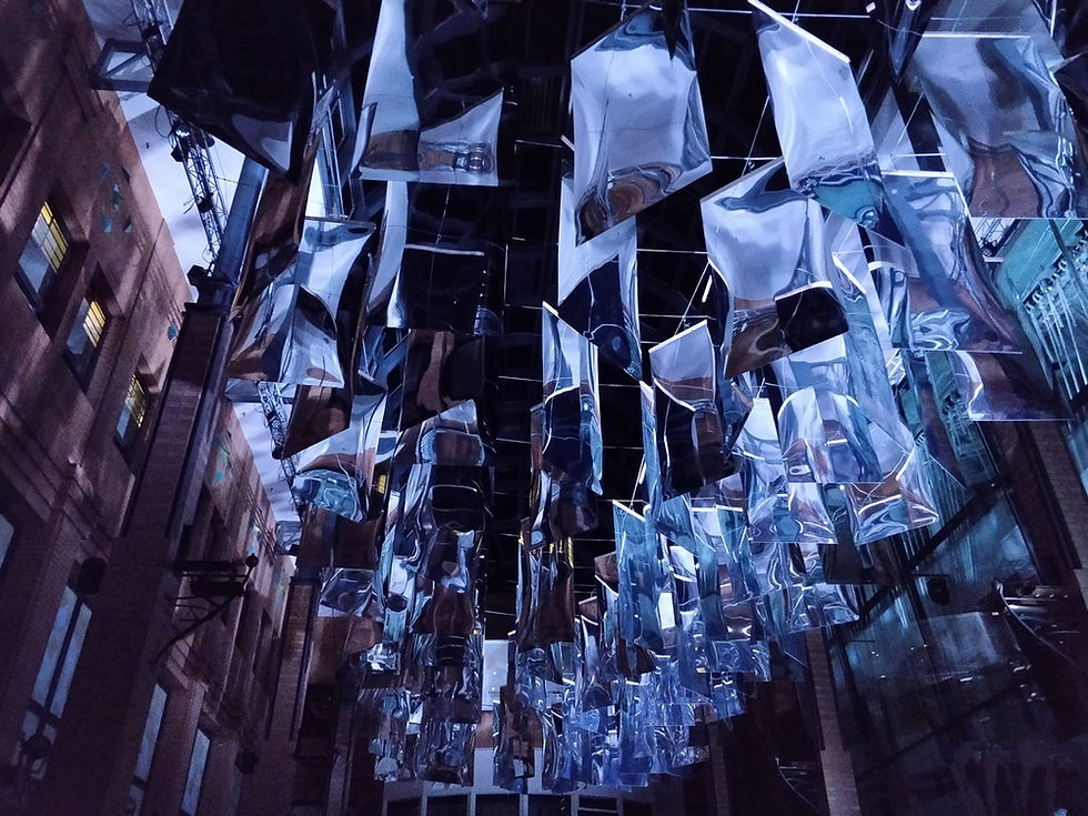 foto van Har Hollands, getiteld Shattered Shadows