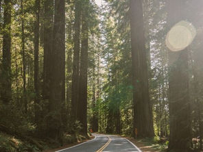 Copy of Road less travelled