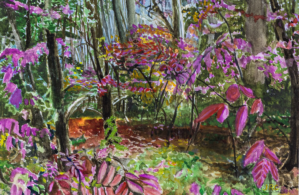 024 (1 of 1)_edited.jpg