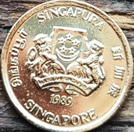 5 Центов, 1989 года, Сингапур, Монета, Монеты, 5 Five Cents 1989, Singapore, Флора, Листя Монстери приємної, Flora, Monstera delicios leaves, Флора, Листья Монстеры деликатесной на монете, Coat of arms of Singapore, Герб Сингапура на монете.