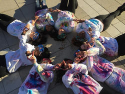 dpe paint 6