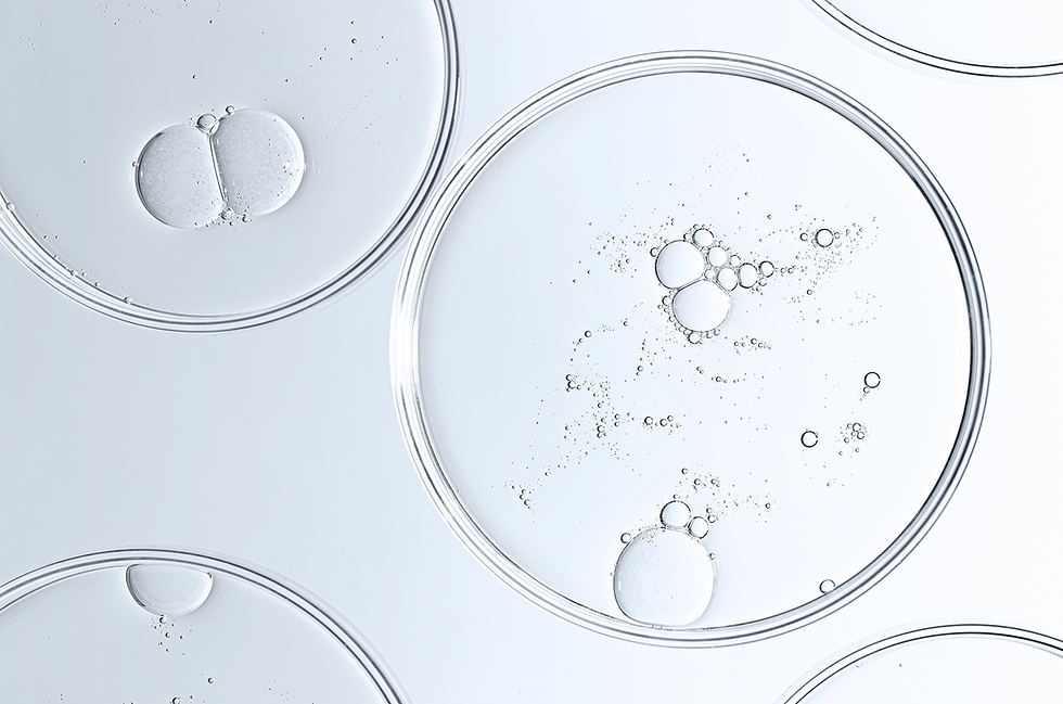 Upgraded Human Wellness Clear Petri Dishes.png
