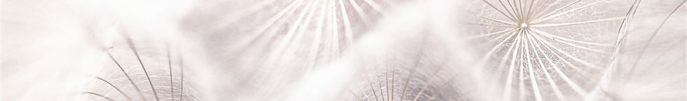 Back Office, Julia, Virtuelle Assistentin#