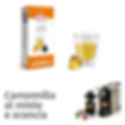 10ICNES_CAMIEL -- 000 (371)