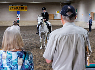 Adaptive rider on white horse in arena practicing a dressage test while judges watch