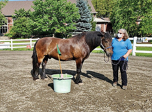 Woman wearing mask with brown horse in arena