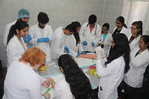 Georgian American University (GAU) Lab and Research