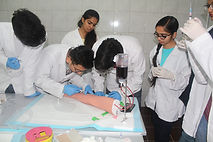 Georgian American University (GAU) Lab and Research