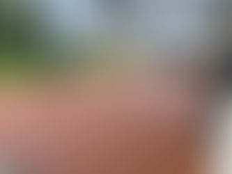 Choisir entre lames en bois et lames composites pour votre terrasse : Avantages et inconvénients