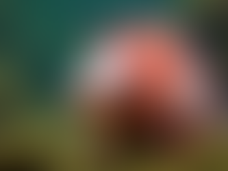 Fundraising Ideas for Axolotl Charities and Awareness