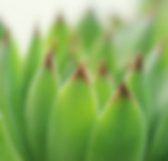 south austin circle c neuropathy relief massage