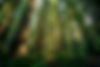 venti-views-Vs5ciaxG1Cs-unsplash_edited.jpg