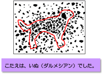 正解は、いぬ(ダルメシアン)でした。