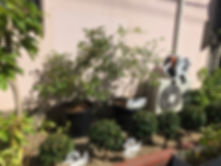 六反南保育園_20190919