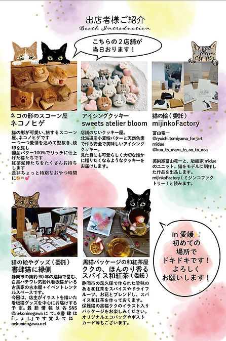 保護猫,