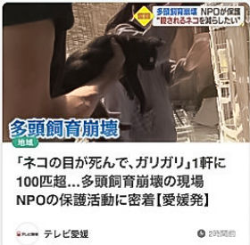 多頭飼育, 崩壊,