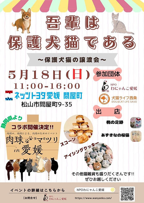 保護猫,