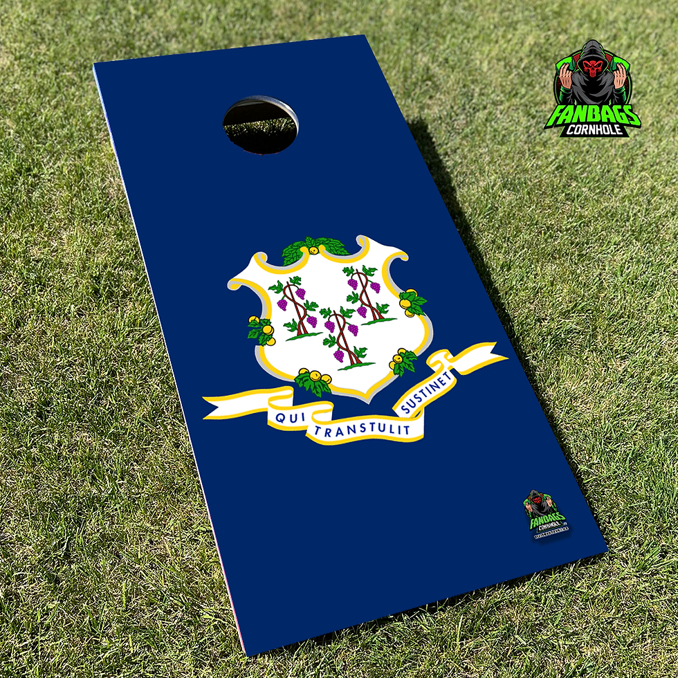 a set of cornhole boards sitting in grass with a state flag
