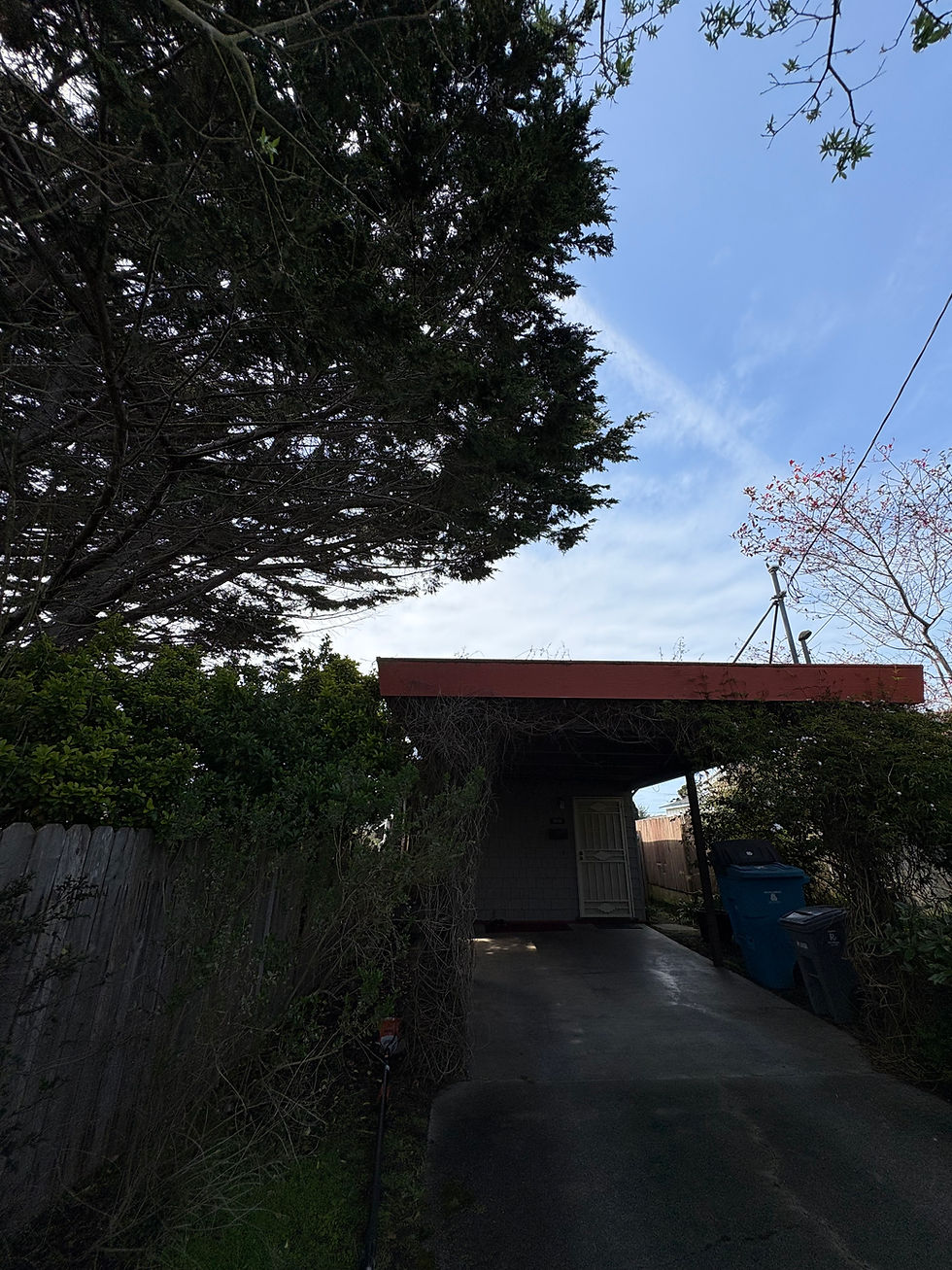 This "before" photo shows a tree with overhanging branches that were obstructing natural sunlight and posing a potential hazard near electrical lines. Our team was happy to assist the customer by safely removing the problematic limbs, improving both safety and sunlight exposure.