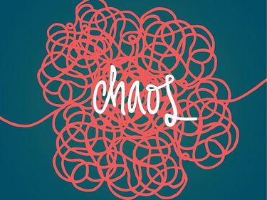 Finding Joy In Chaos