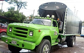 WhatsApp Image 2019-01-31 at 11.21.36 AM