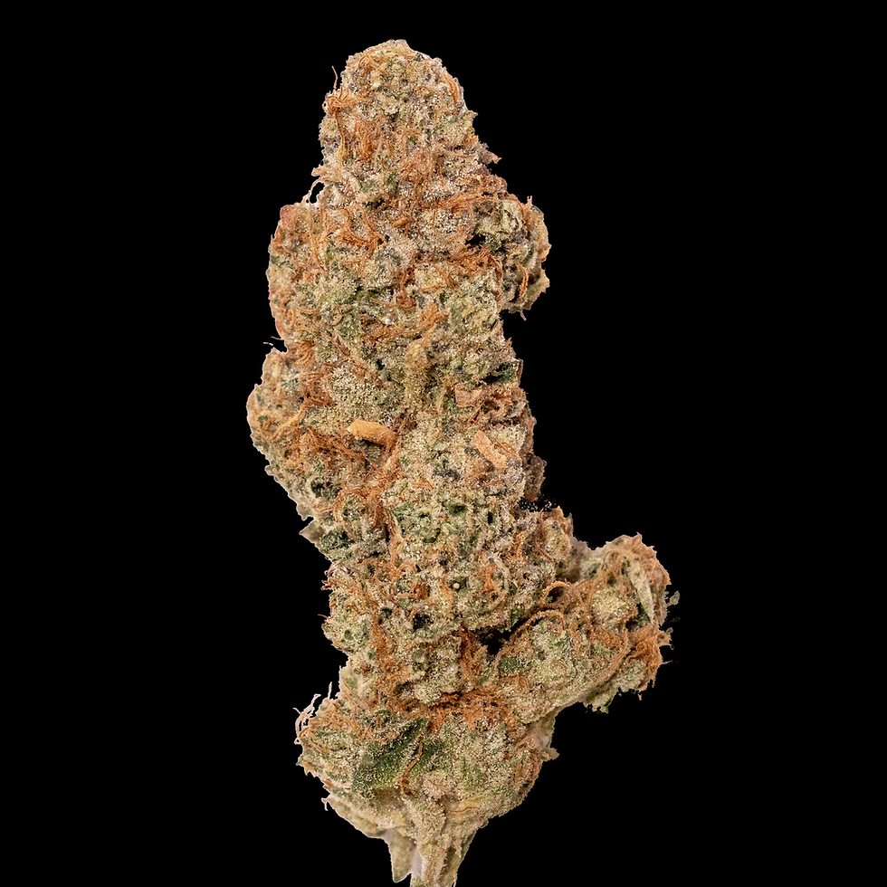 SCOUTSH3-HDR