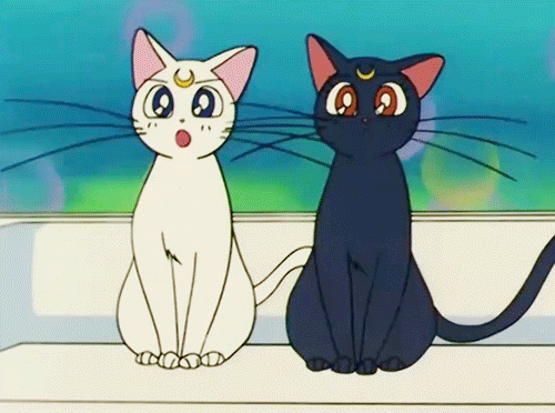 Thursday Nite Anime at The Cat Cafe! Princess Mononoke