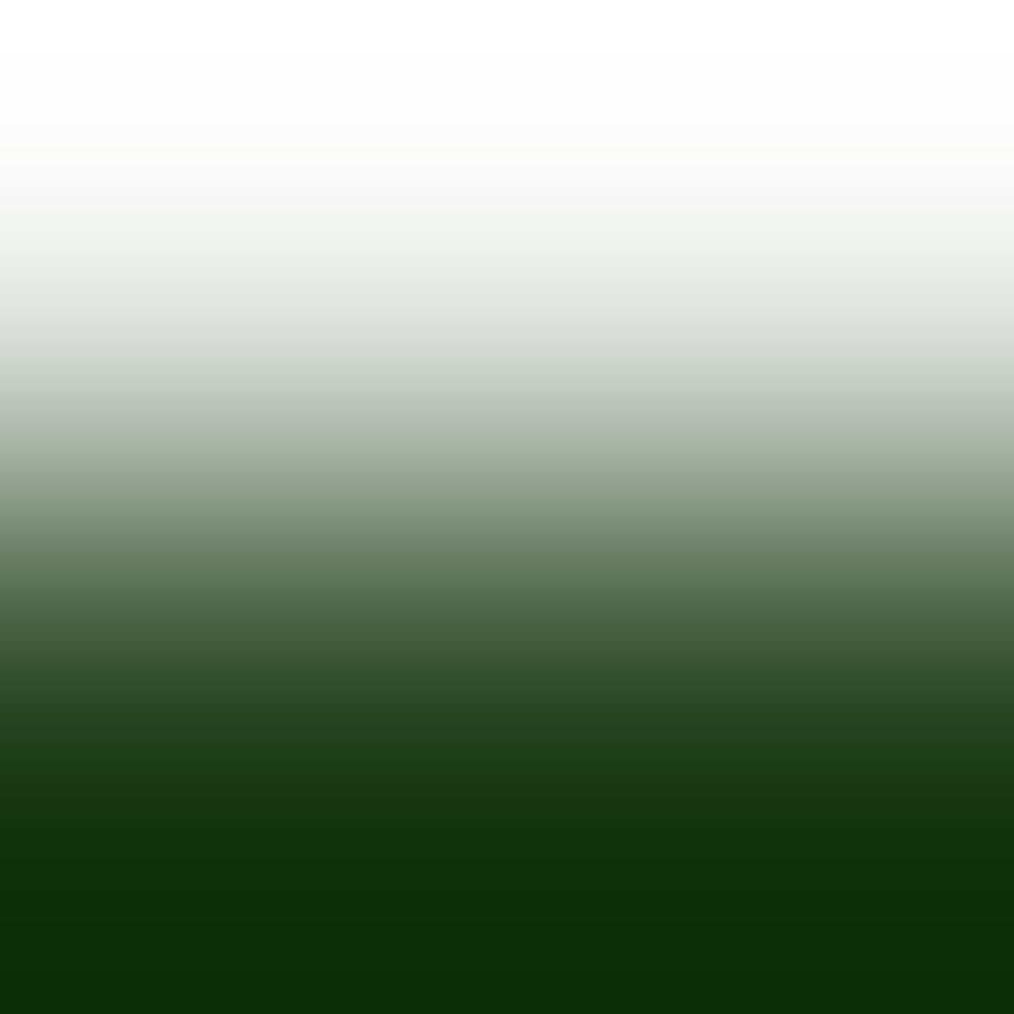 IMG_1288_edited.jpg