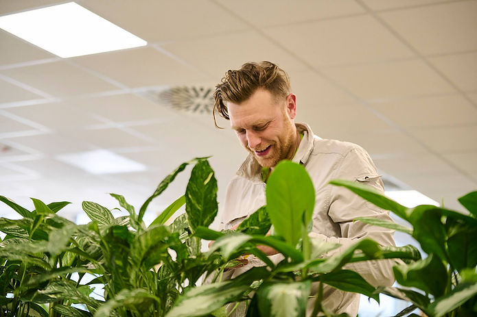 Irodai növénygondozás a tulajdonos által.