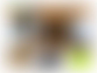 🥄初めての離乳食教室・2025年6月19日🥄
