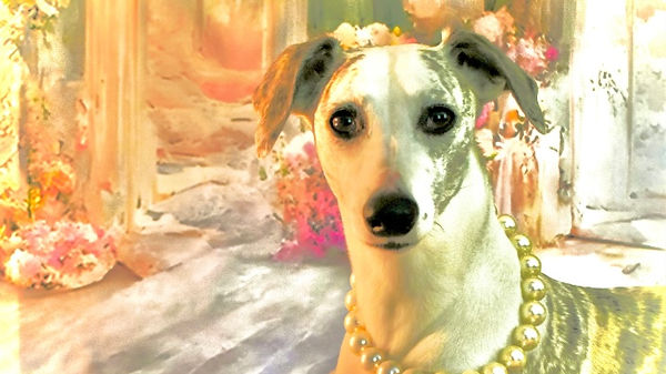 Canine Fine Art Photography