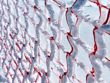 Filet de ski rouge enrobé de neige gelée