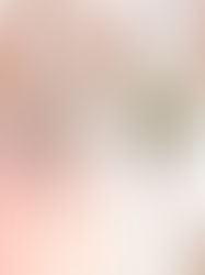 Traumhochzeit auf dem Obsthof Schuback in Jork