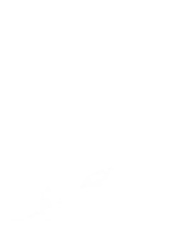 01 (1)WHITE.png