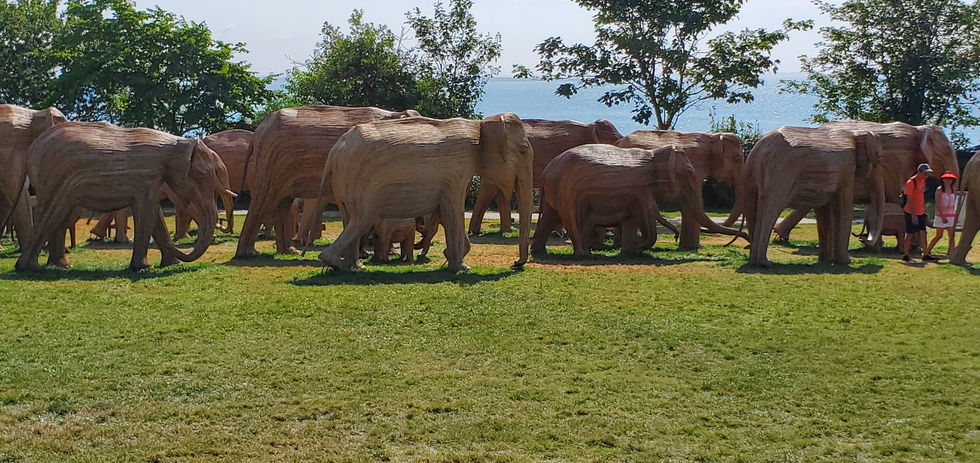 The Great Elephant Migration art installation