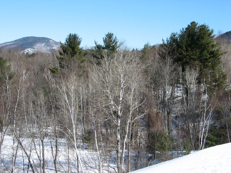 winter in the mountains