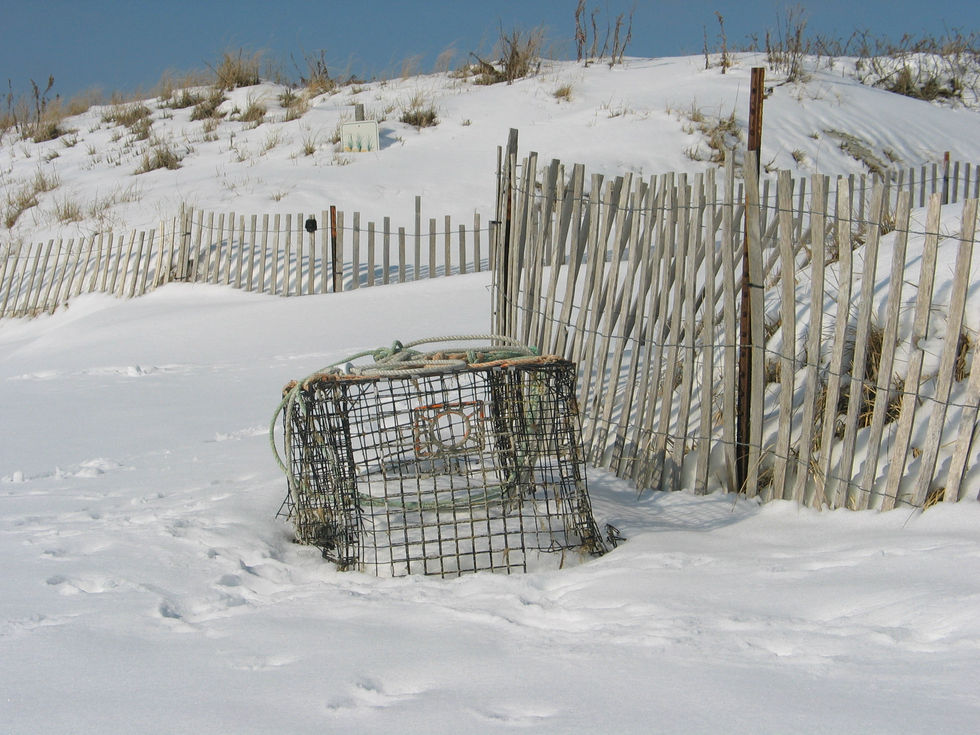 lobster trap on the beach after a snow storm