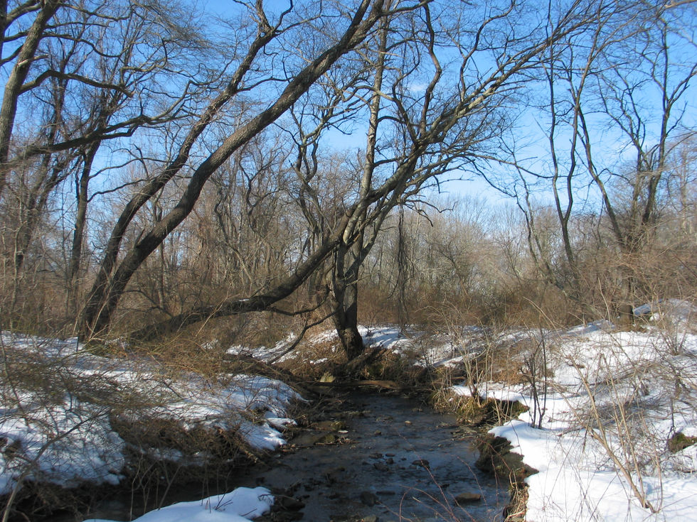 creek in winter